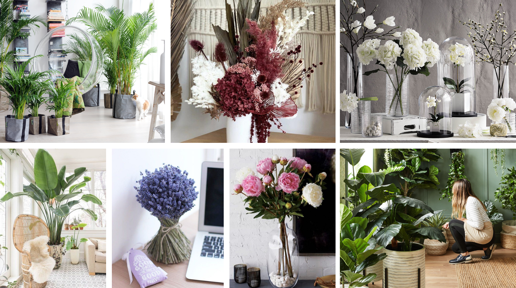 растения, цветы, декор