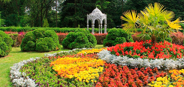 Ботанический сад - TOП-5 самых ярких культурных событий июня - Журнал MyTOP.by
